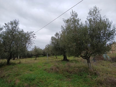 immagine annuncio 8 di 9