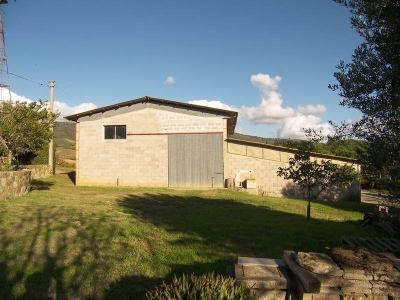 immagine annuncio 4 di 9