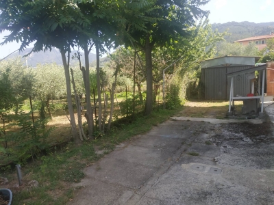 immagine annuncio 4 di 9