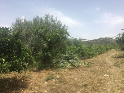 immagine annuncio 4 di 9