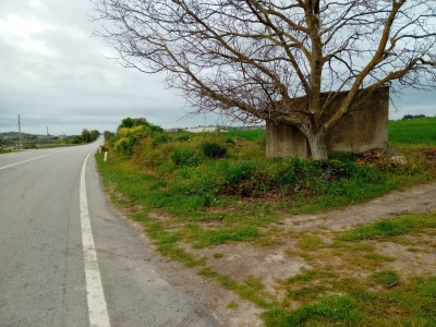 immagine annuncio 5 di 9