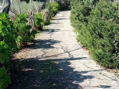 immagine annuncio 6 di 9