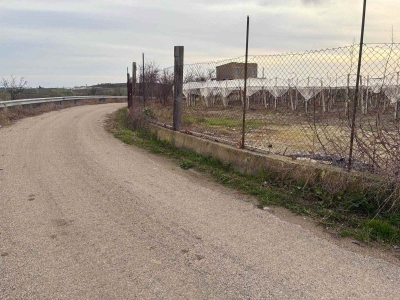 immagine annuncio 3 di 9