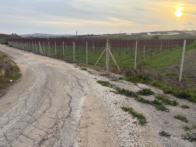 immagine annuncio 8 di 9