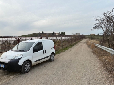 immagine annuncio 4 di 9