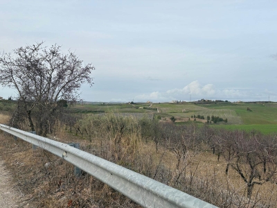 immagine annuncio 5 di 9