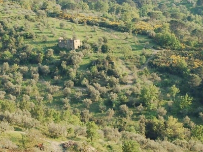 immagine annuncio 4 di 9
