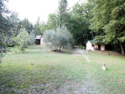 immagine annuncio 7 di 9