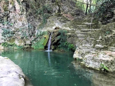 immagine annuncio 5 di 9