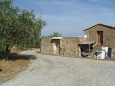 immagine annuncio 4 di 9