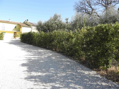 immagine annuncio 6 di 9