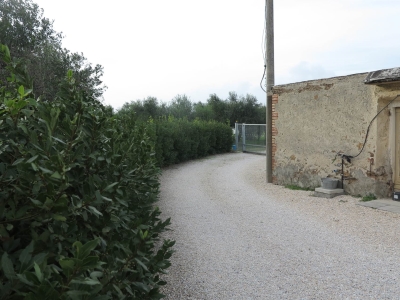 immagine annuncio 8 di 9