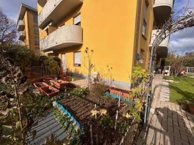 immagine annuncio 8 di 9