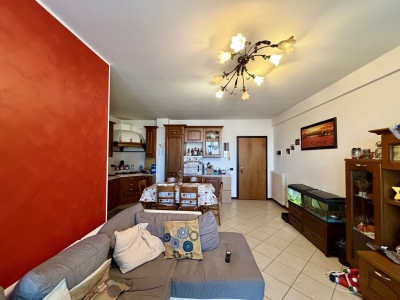 immagine annuncio 3 di 9