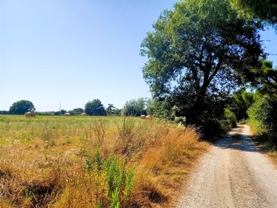 immagine annuncio 5 di 9