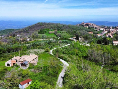 immagine annuncio 5 di 9