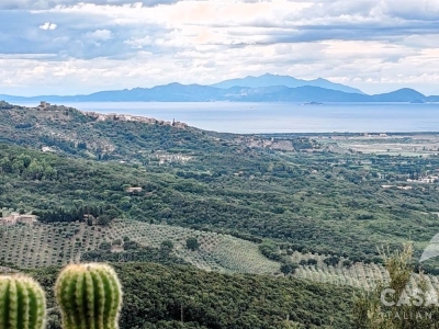 immagine annuncio 7 di 9