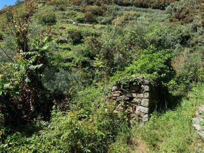 immagine annuncio 3 di 8