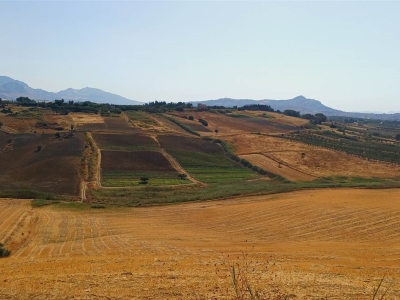 immagine annuncio 3 di 9