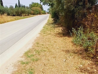 immagine annuncio 5 di 9