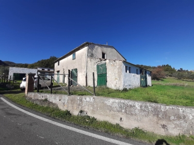 immagine annuncio 8 di 9