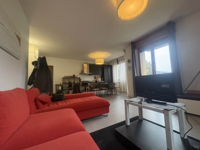 immagine annuncio 3 di 9