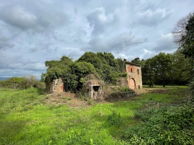 immagine annuncio 2 di 9