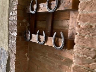 immagine annuncio 6 di 9