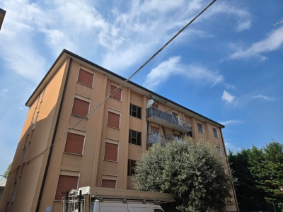 immagine annuncio 2 di 9