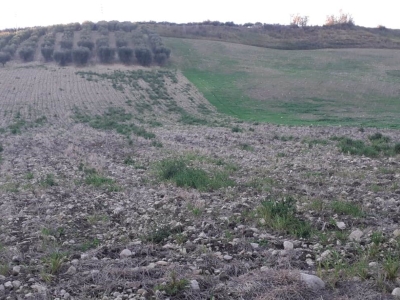 immagine annuncio 6 di 9