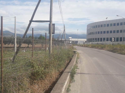 immagine annuncio 6 di 9
