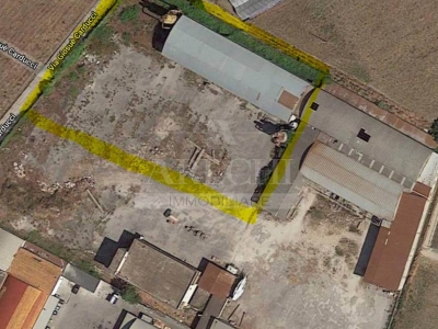 immagine annuncio 6 di 7