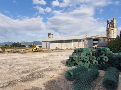 immagine annuncio 3 di 7