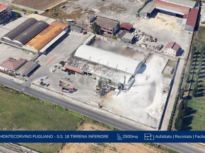 immagine annuncio 2 di 9