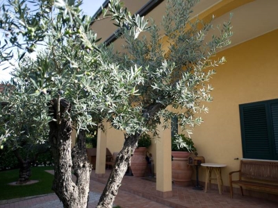 immagine annuncio 4 di 9