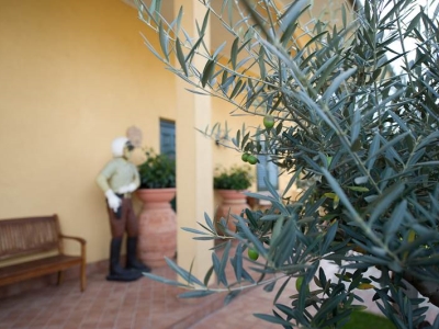 immagine annuncio 2 di 9