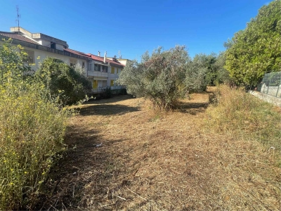immagine annuncio 6 di 9