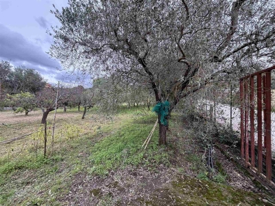 immagine annuncio 3 di 9