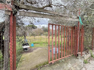 immagine annuncio 2 di 9