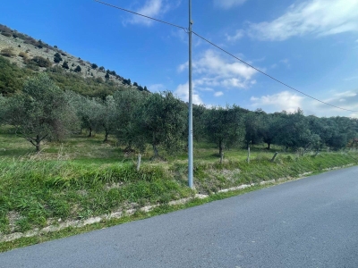 immagine annuncio 4 di 9