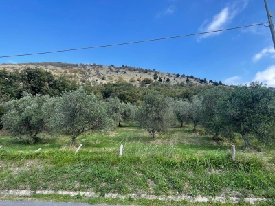 immagine annuncio 3 di 9