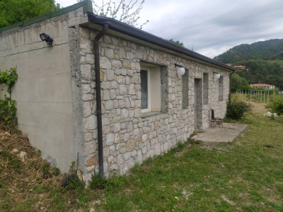 immagine annuncio 3 di 9