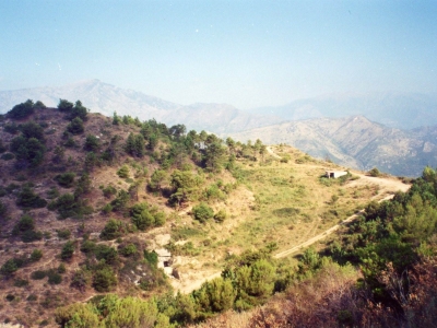 immagine annuncio 1 di 9