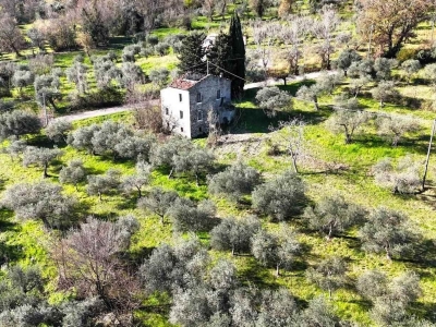 immagine annuncio 2 di 9