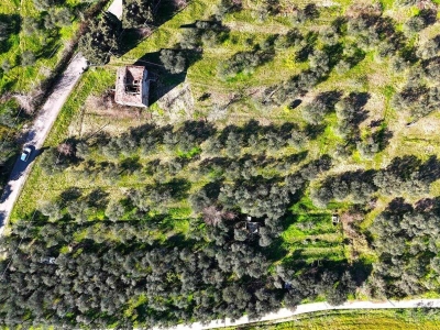 immagine annuncio 1 di 9