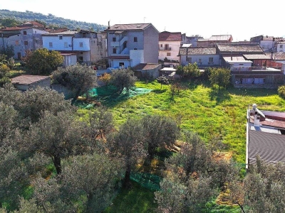 immagine annuncio 1 di 4