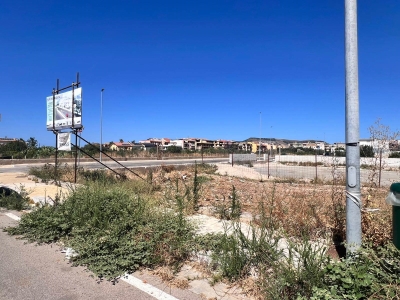 immagine annuncio 2 di 9