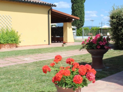 immagine annuncio 6 di 9