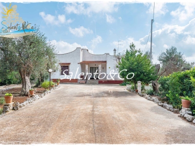 immagine annuncio 1 di 9