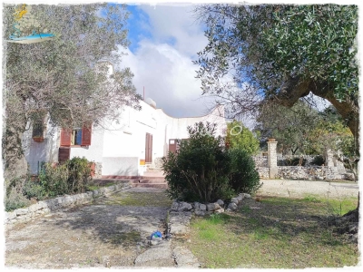 immagine annuncio 2 di 9